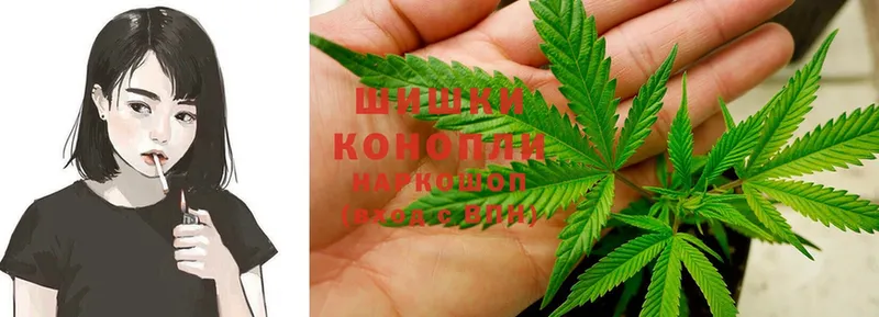 Канабис White Widow  купить наркоту  Краснознаменск 